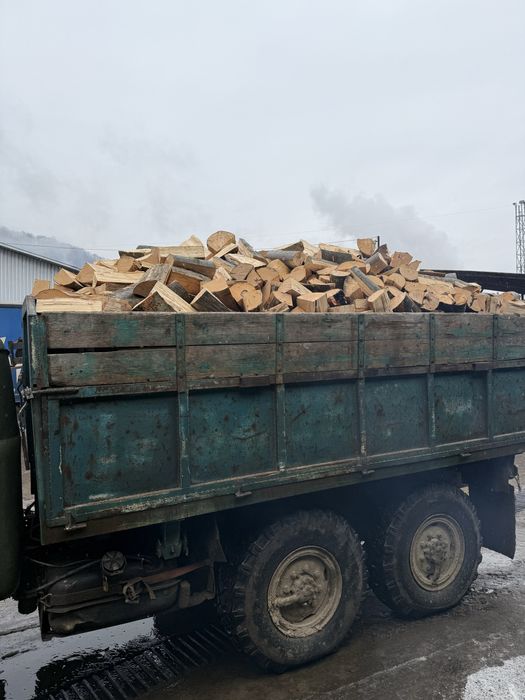 Колоті дрова  бук