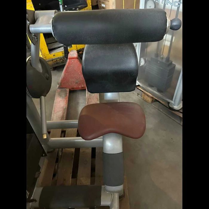 Maszyna do ćwiczeń mięśni grzbietu Lower Back Technogym Selection