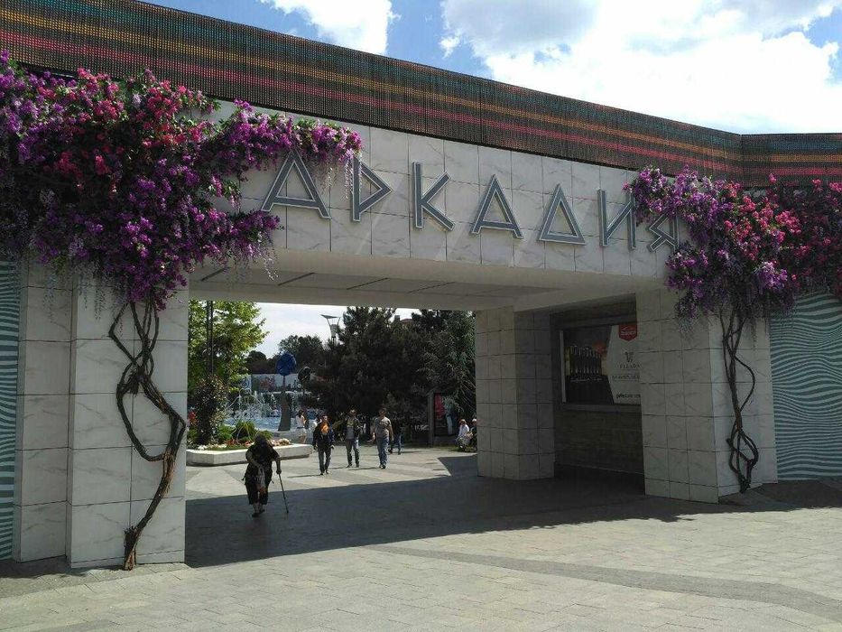 Однокомнатная квартира с новым ремонтом в Аркадии Атмосфера, балкон