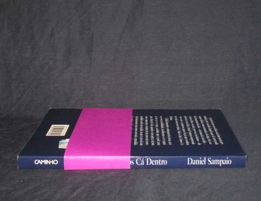 Livro Tudo o Que Temos Cá Dentro Daniel Sampaio