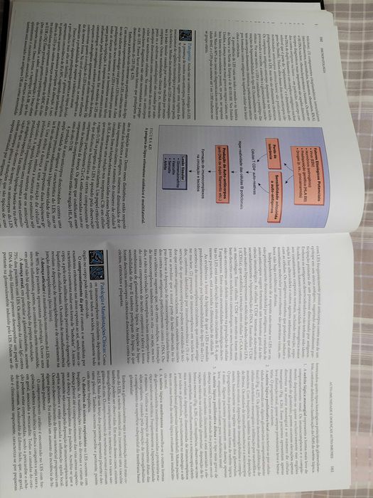 Medicina - Rubin, Livro de Patologia Clínica