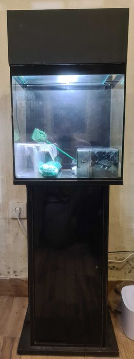 Aquário 40 com móvel