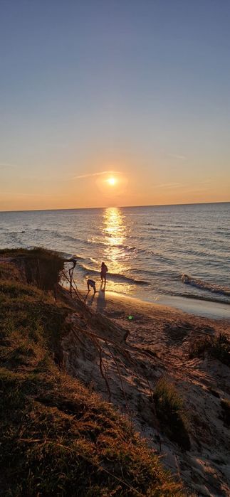 Domek holenderski - Wakacje nad morzem