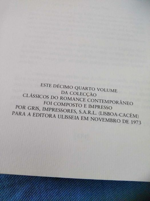 Livro - O seixo branco