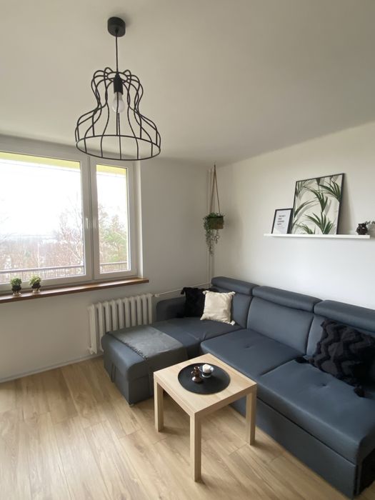 Kawalerka do wynajecia