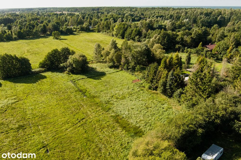 Działka NAD MORZEM – 300 m do plaży! Cisza, natura, prywatność - Widok 4