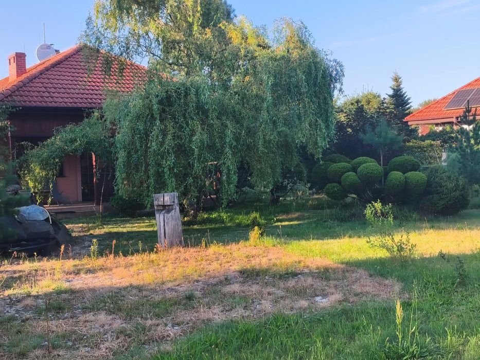 nieruchomość do sprzedaży