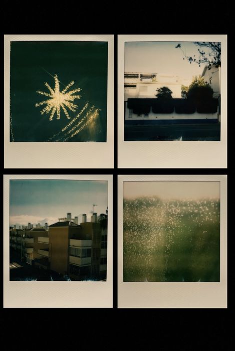 Polaroid sx-70 fotos