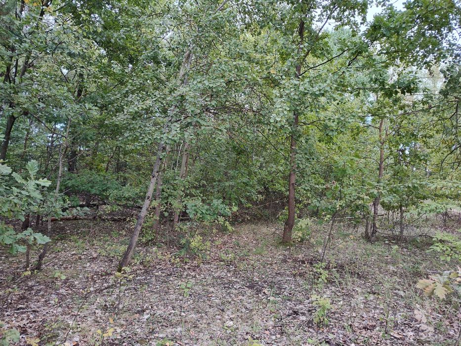 Działka z warunkami zabudowy