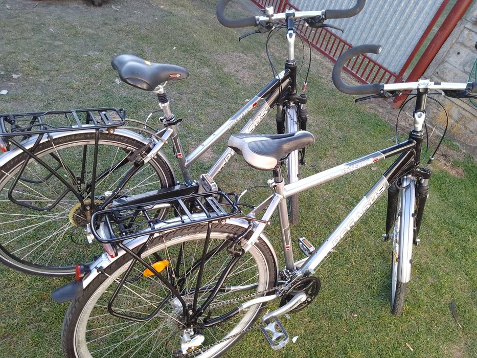 Rower damka męski 28 cali Pegasus