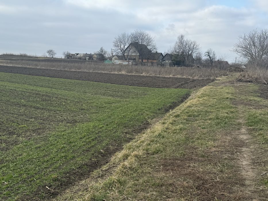 Продам рівну ділянку 16 сот під забудову