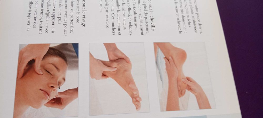 La Bible du Massage, Susan Mumford, 2009