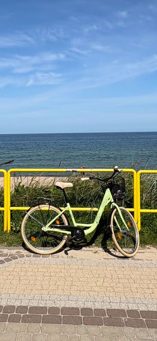 Rower miejski zielony crown