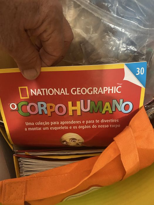 Esqueleto Corpo Humano ( completissimo)
