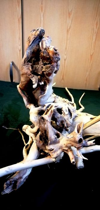 Коряга, Вимочена, виварена.