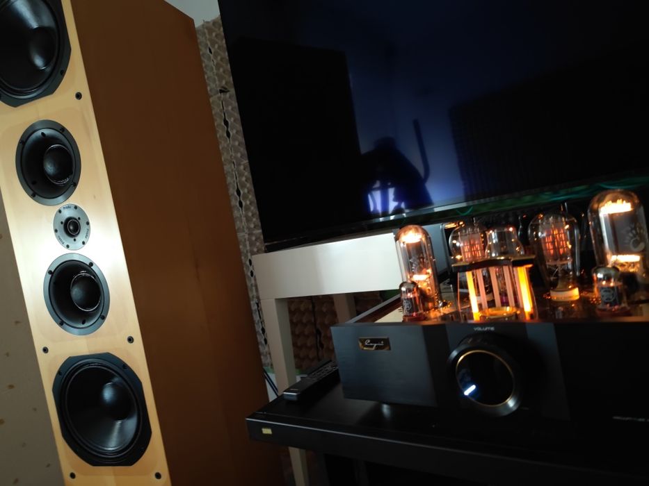 ProAc D100 - Modelo raro em Portugal