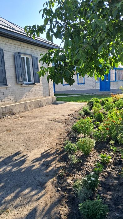 Продам будинок в с.Шелепухи