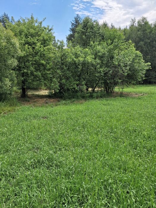 Działka rolna w Przedborskim Parku Krajobrazowym obszar  Natura 2000
