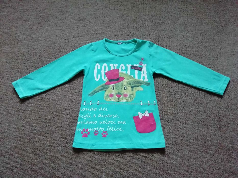 Лонгслів, кофта з довгим рукавом, реглан на дівчинку р. 98-104см