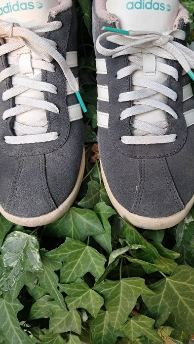 Кросівки жіночі Adidas