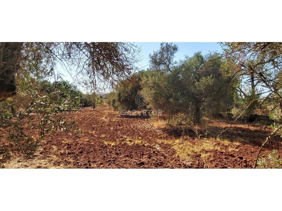 Terreno rústico, em zona agrícola, Ribeira de Alte, Paderne, Albufe...