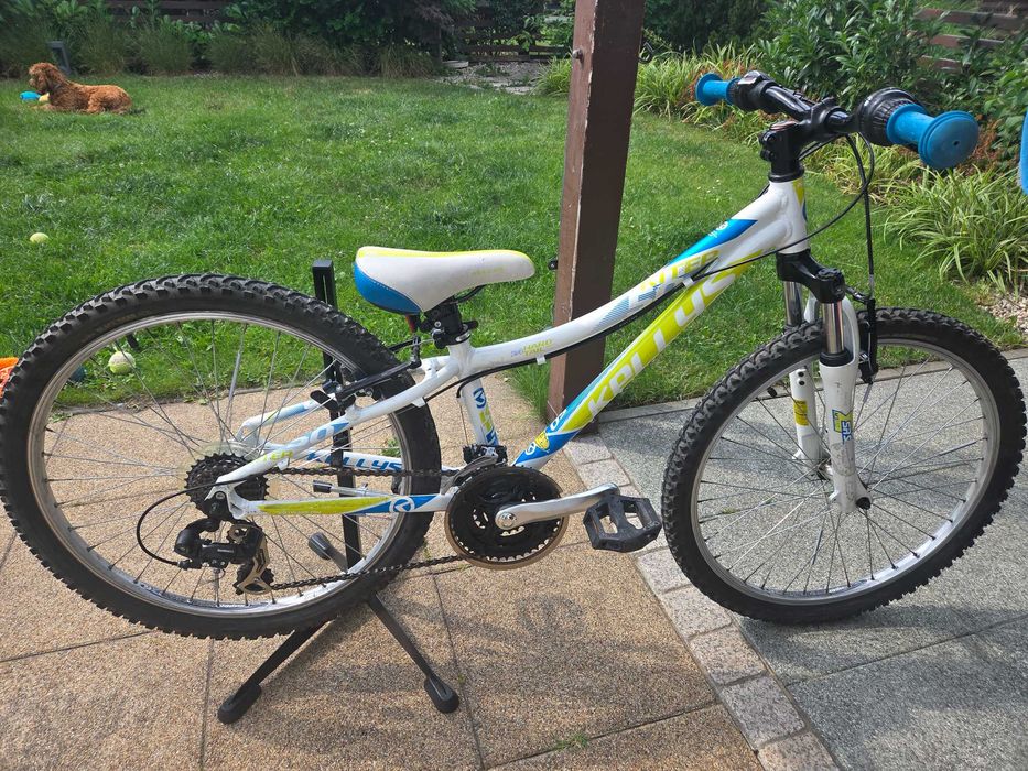 Kellys Kiter 50