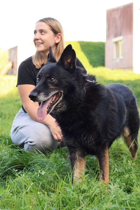 Maks za dużo czasu już spędził w schronisku!