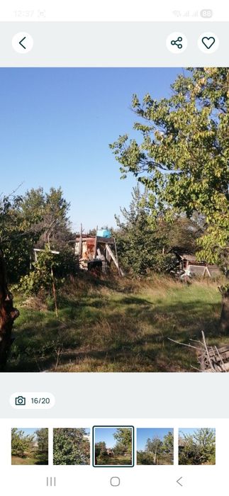 Продам  две  дачи (20 сот.)