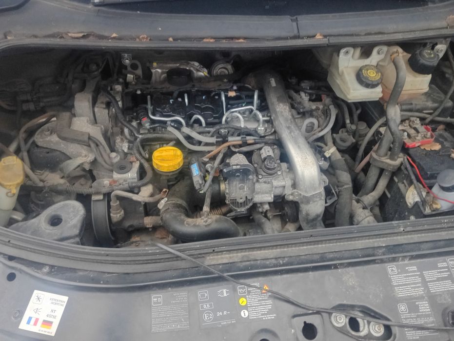 Witam mam do zaoferowania