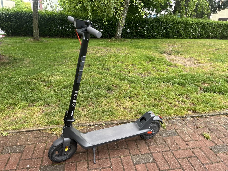 Hylajnoga elektryczna