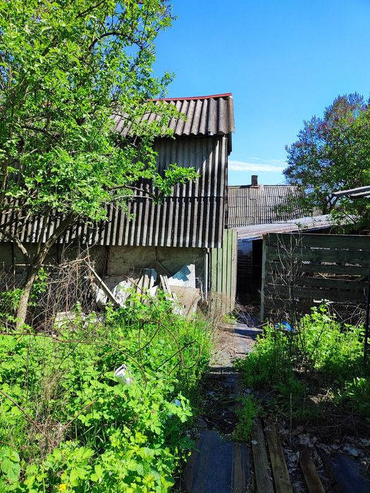 Солнце  Свежий Воздух И Река