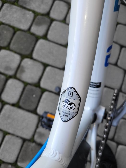 Rower dziecięcy M-bike Tin 24