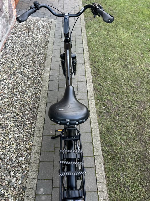 Rower Stella Alfine 11