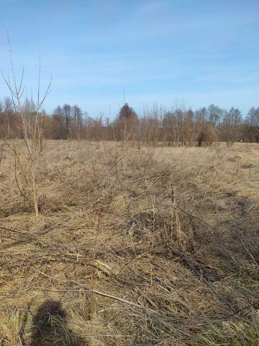 Продам ділянку біля міста