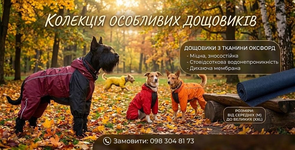 дощовики з міцної тканини,  для собак