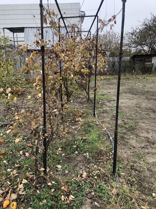 Дом по адресу ул. Приморская (площадь 25 м²) - Atlanta.ua - фото 5