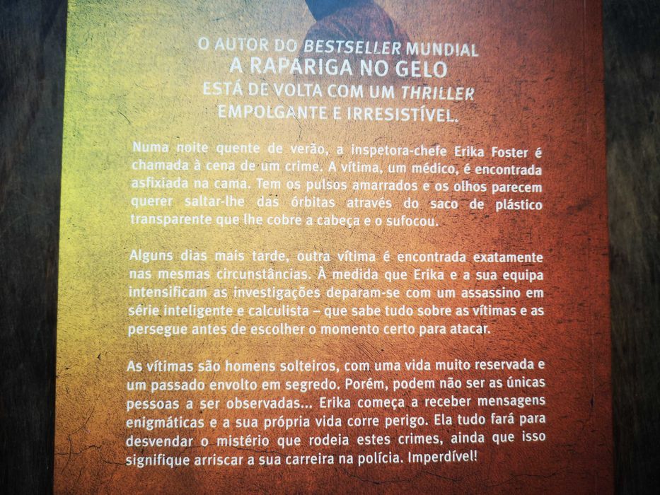 Robert Bryndza - A Sombra da Noite