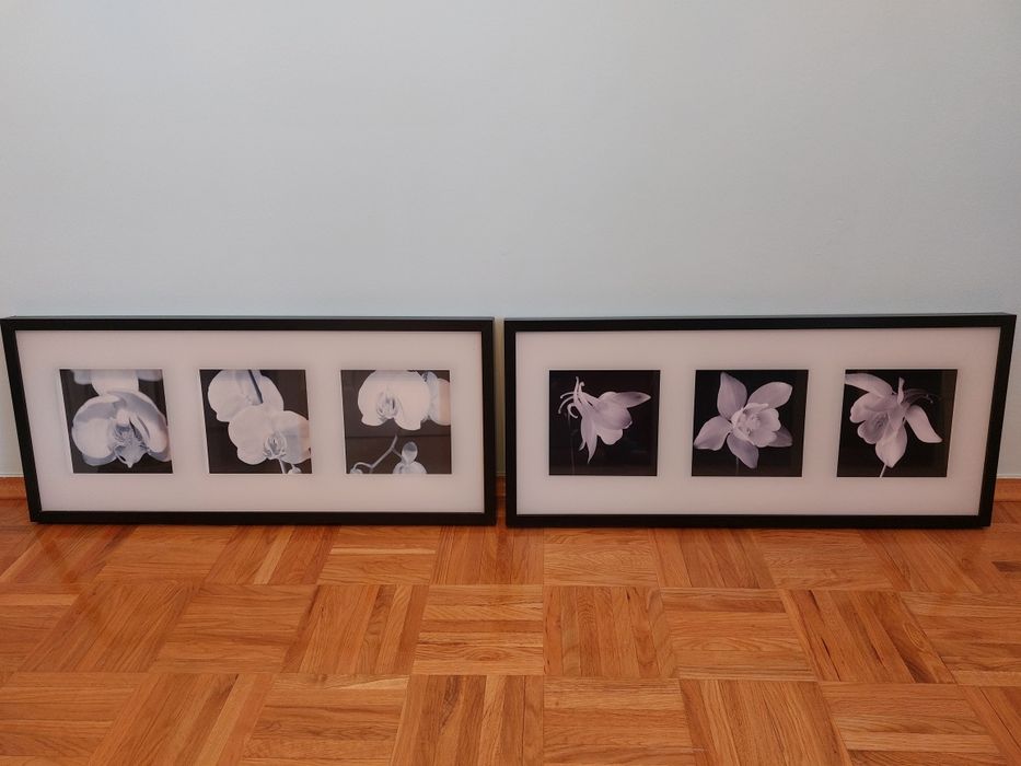 Zestaw 2 obrazów Ikea