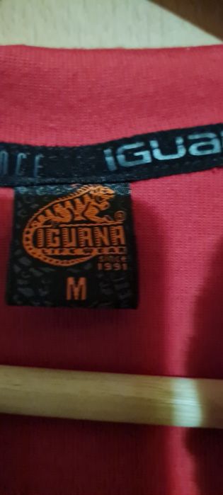 Bluza męska Iguana