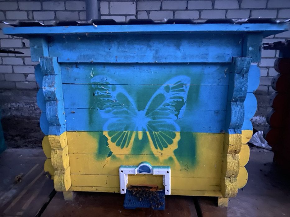 Вулики з бджолами