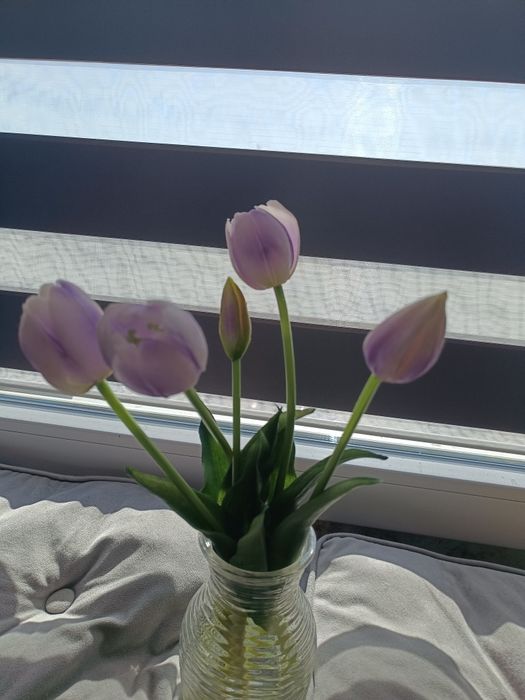 Tulipany silikon/guma
