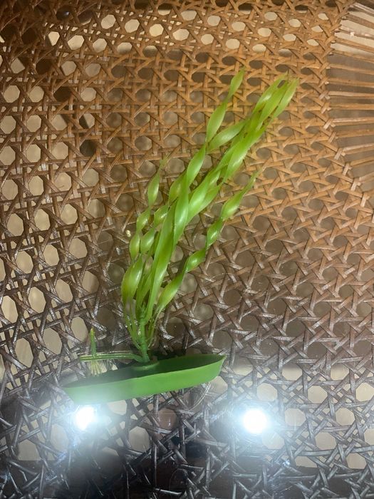 Rośliny akwariowe sztuczne