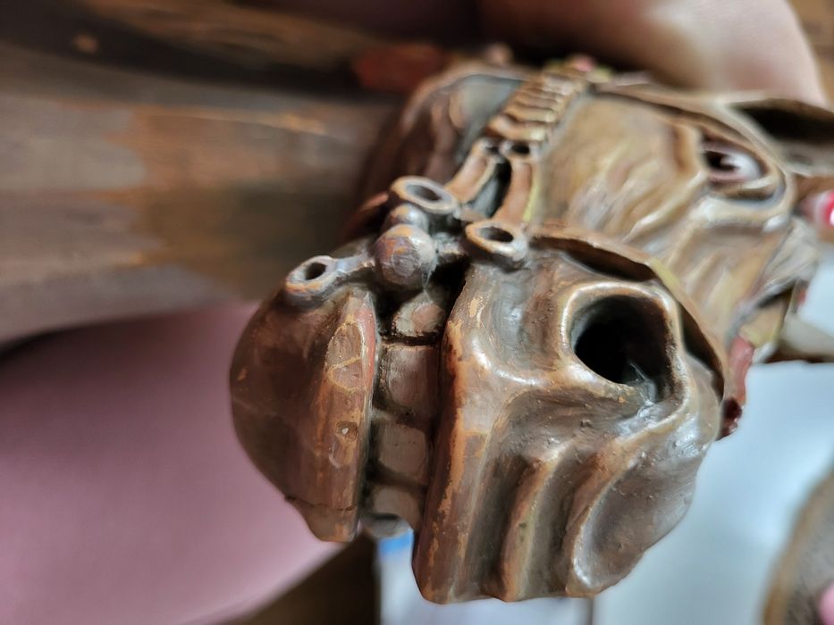 Piękna głowa  konia