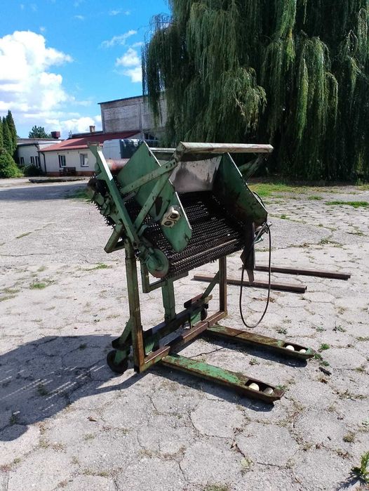 sortownik do ziemniaków i cebuli
