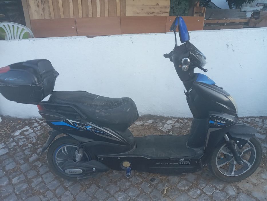 Mota eletrica marca vortex goose