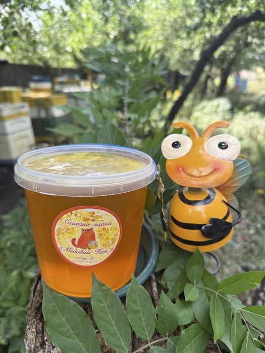 мед 2025 року фацелія