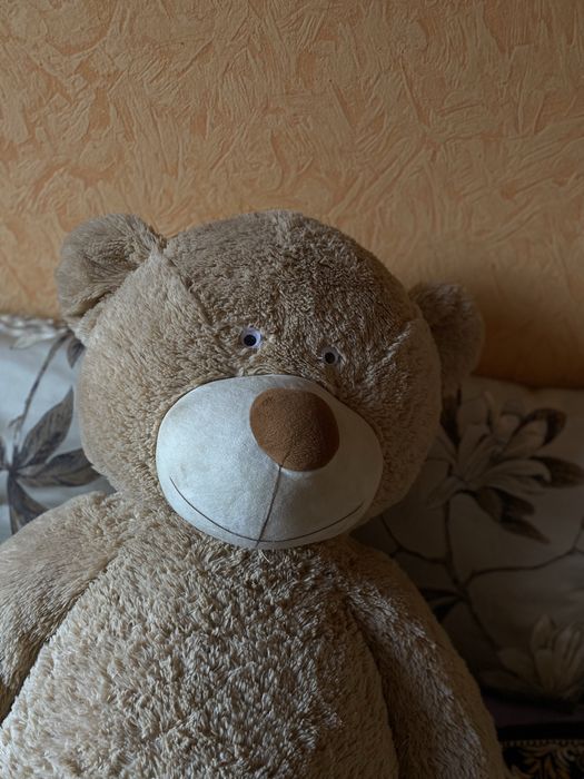 Плюшевий відмідь