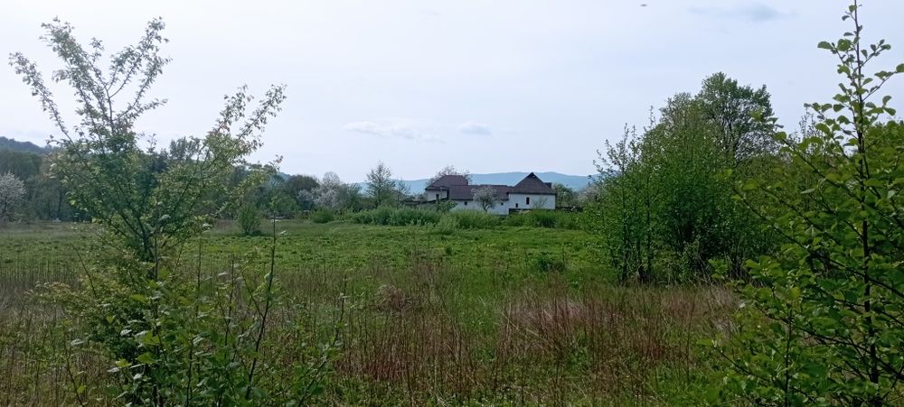 Продам ділянку у рекі Пеня Солочин 6 соток