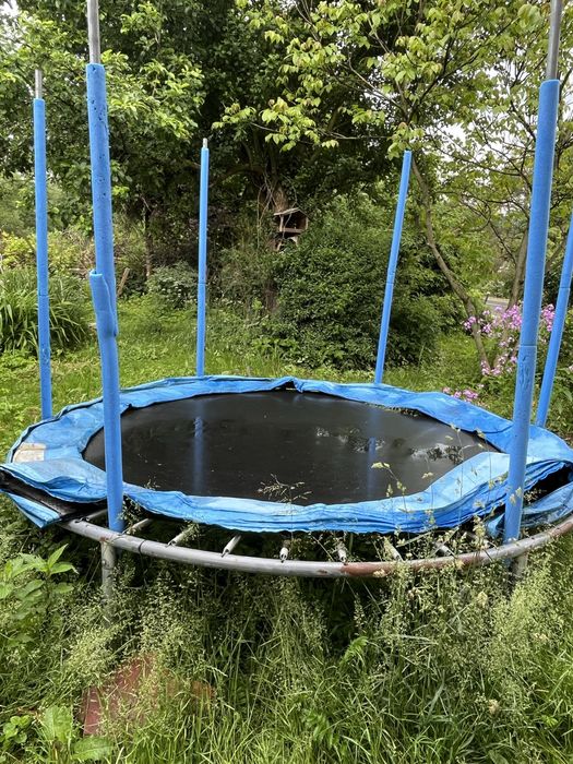 Trampolina uzywana