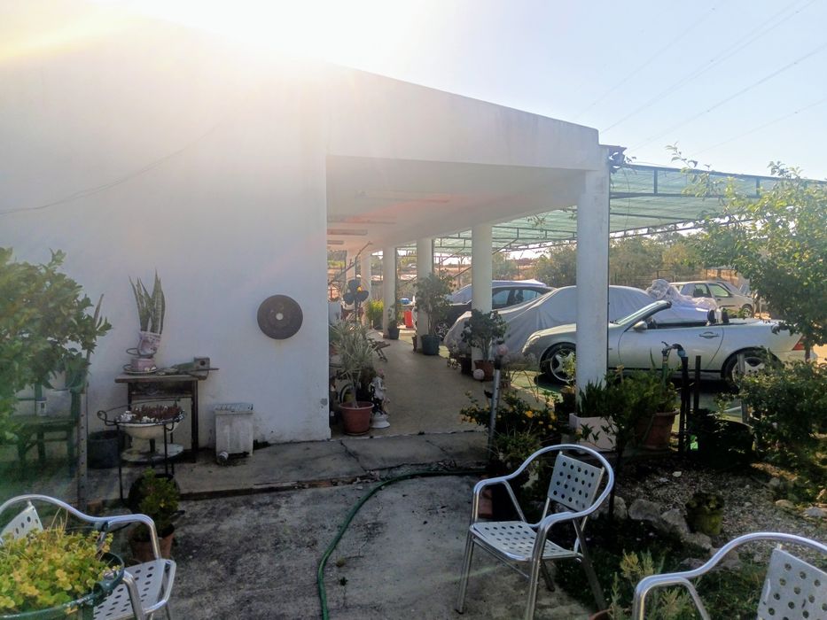 Quinta com 12000 m2 na Quinta do Anjo - venda a pronto pagamento